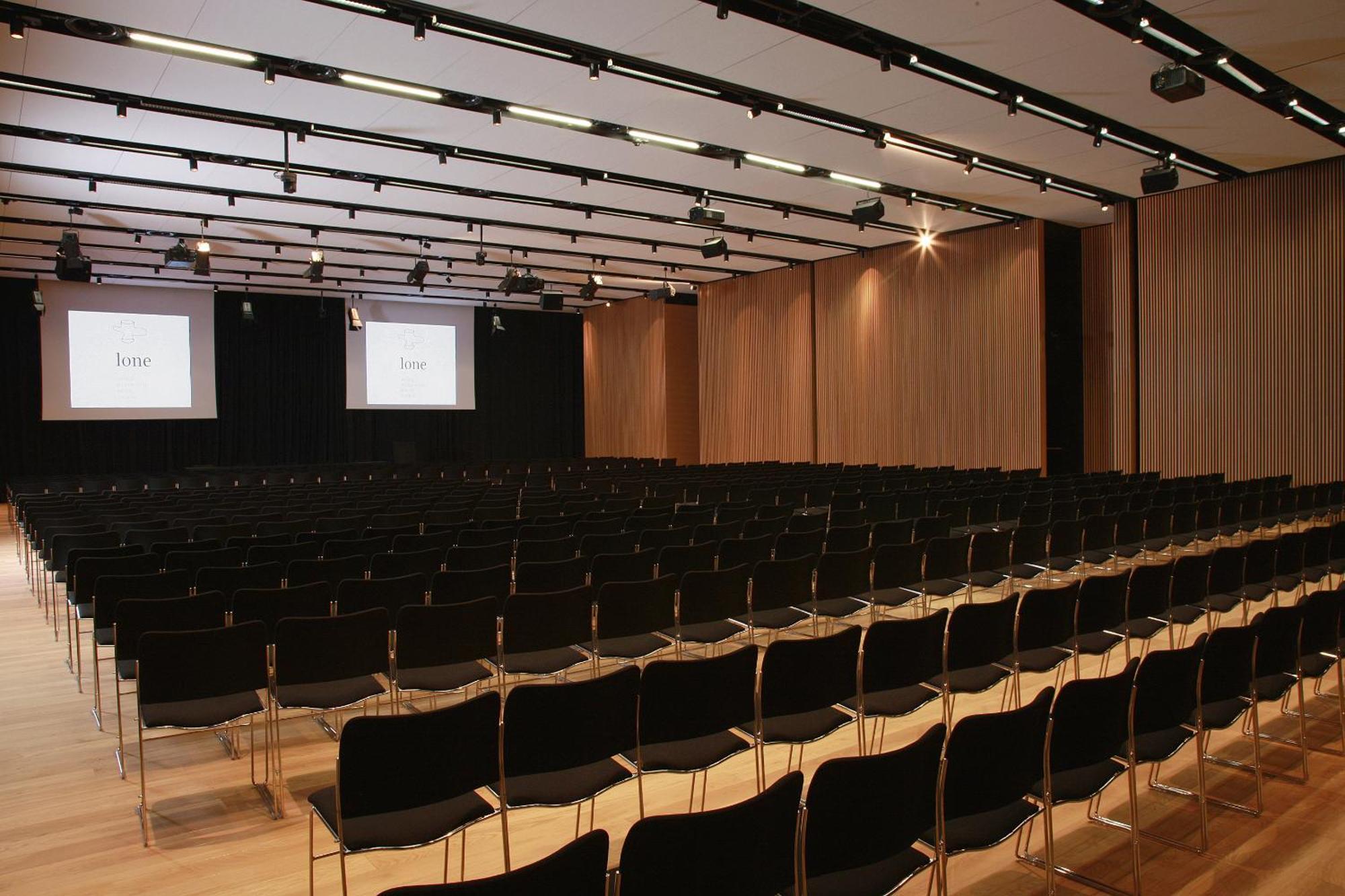 โรงแรมโลเน โรวีน สิ่งอำนวยความสะดวก รูปภาพ The conference hall